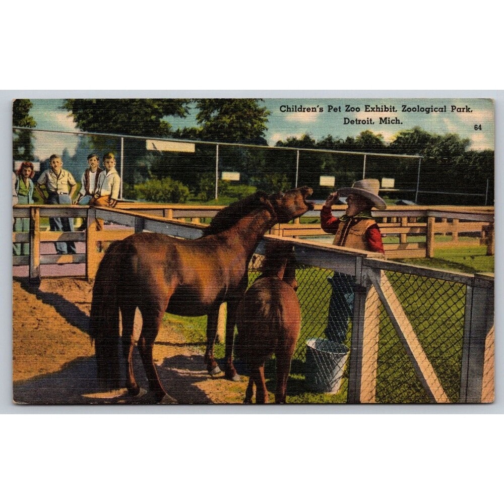 Vtg 1940s Detroit Zoo Postcard Children's Pet Zoo Bess Shetland Pony Joe Short